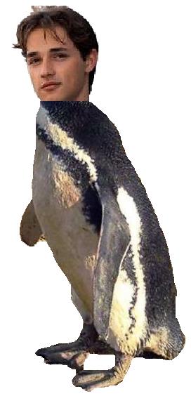 penguin-mixup.jpg